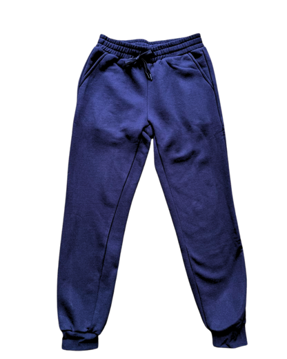 GA -Blue Zip up Hoodie and Jogger Set