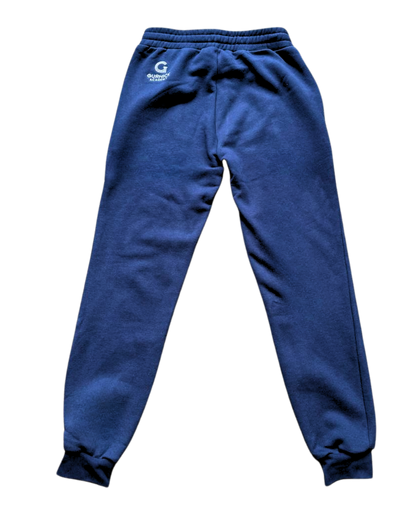 GA -Blue Zip up Hoodie and Jogger Set