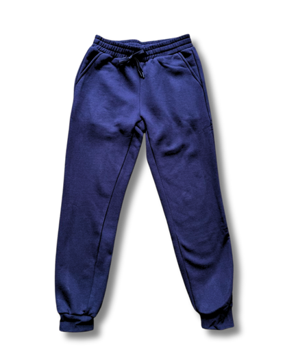 GA -Blue Zip up Hoodie and Jogger Set